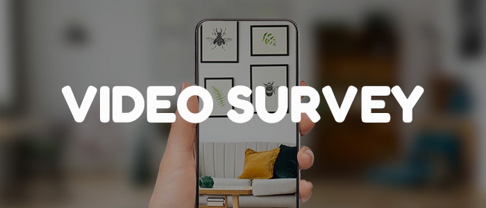 Video survey